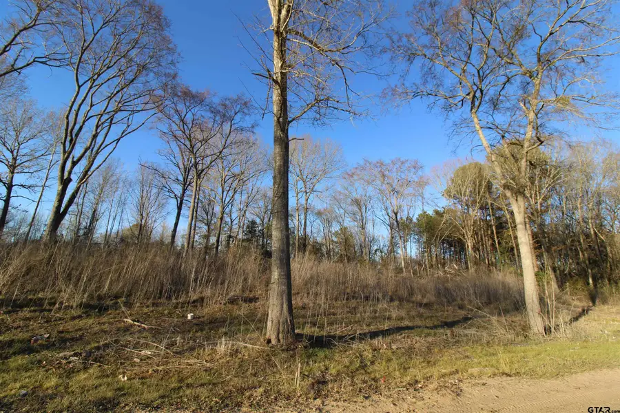 6642 County Road 488, Tyler, TX 75706 - #2