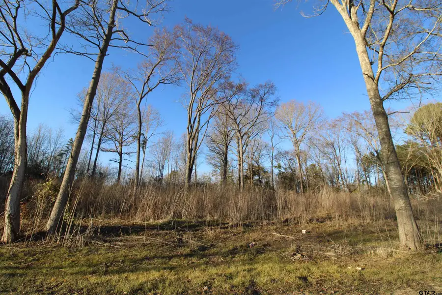 6642 County Road 488, Tyler, TX 75706 - #3