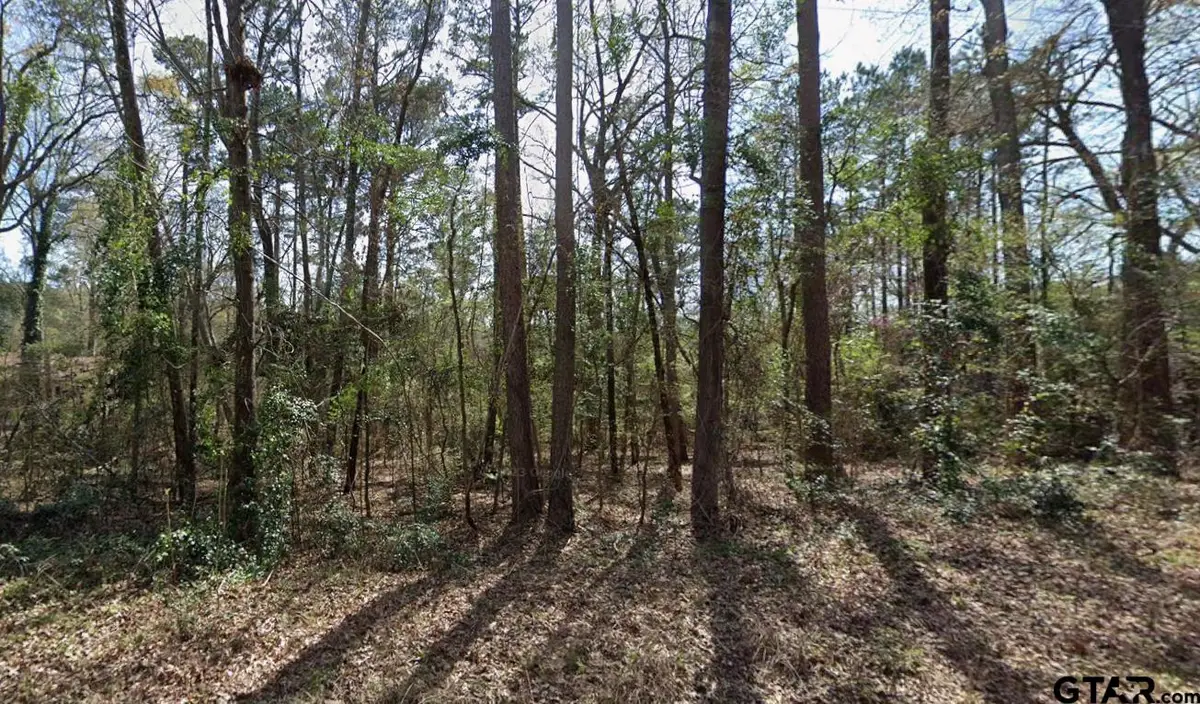 TBD Ashwood Dr. #Lot 204, Gilmer, TX 75645 - #1