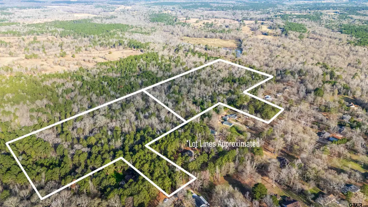 TBD Neches Trace (31.902 Acres inclu lot 8 and lot 14), Palestine, TX 75803 - #1