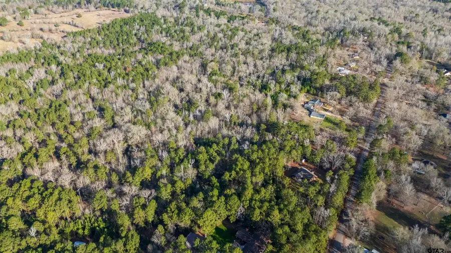 TBD Neches Trace (31.902 Acres inclu lot 8 and lot 14), Palestine, TX 75803 - #2