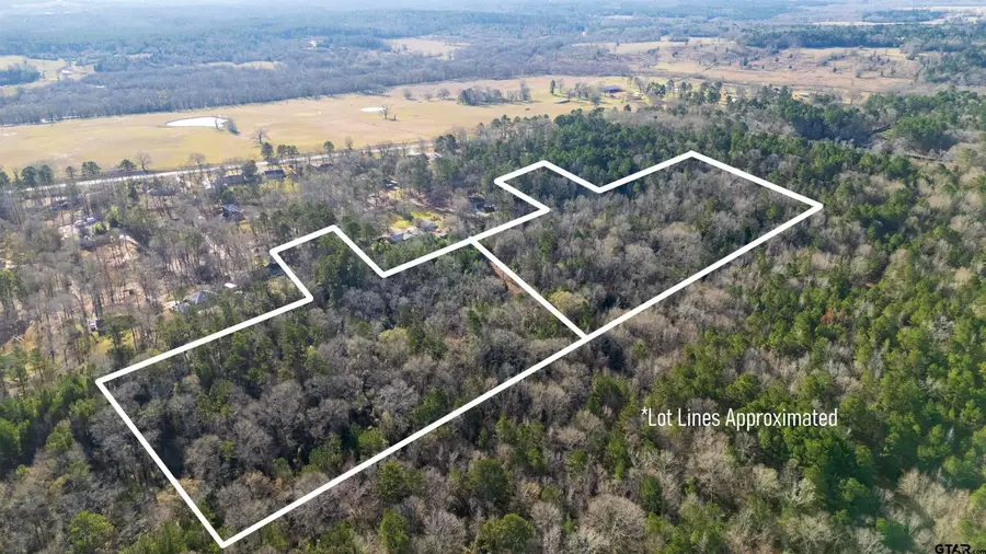 TBD Neches Trace (31.902 Acres inclu lot 8 and lot 14), Palestine, TX 75803 - #3