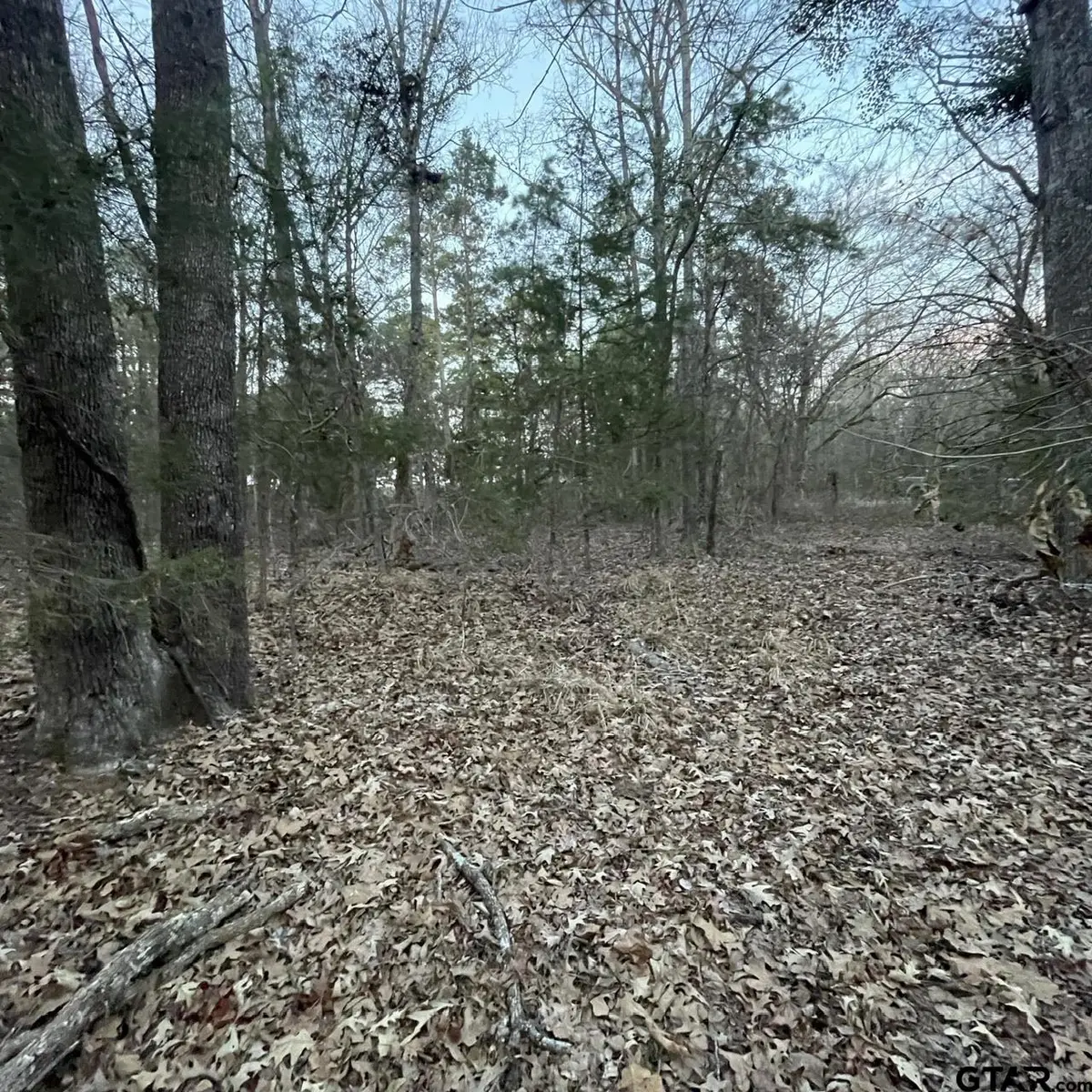 TBD County Road 2182, Whitehouse, TX 75791 - #1