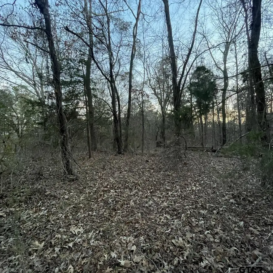 TBD County Road 2182, Whitehouse, TX 75791 - #3