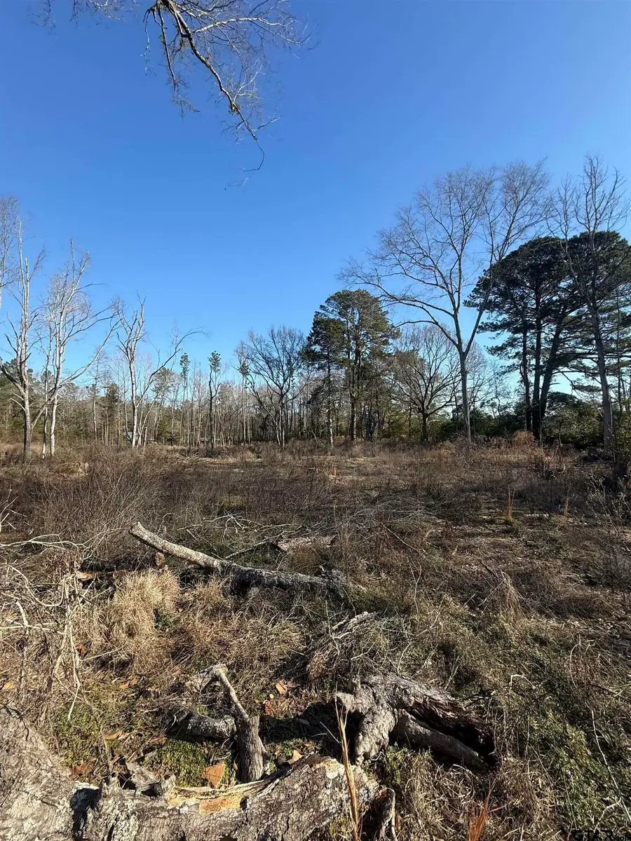 513 E State Highway 323, Overton, TX 75684 - #2