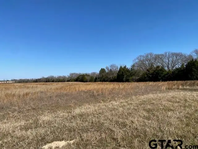4101 CR 3703, Athens, TX 75752 - #1