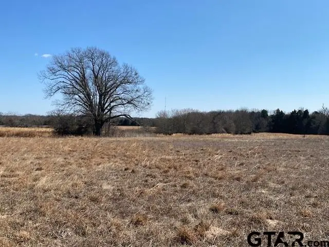 4101 CR 3703, Athens, TX 75752 - #2