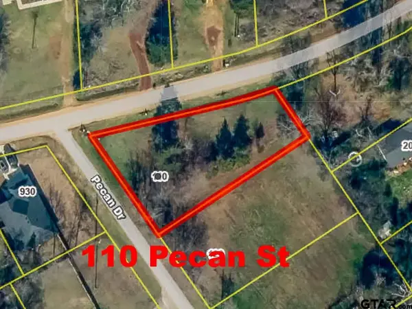 110 Pecan Drive, Bullard, TX 75757