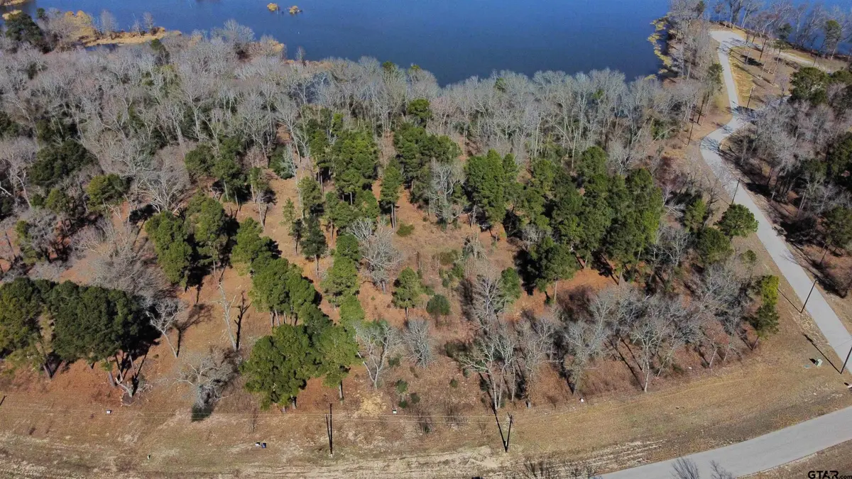 3176 Shadow Pine Dr, Larue, TX 75770 - #1