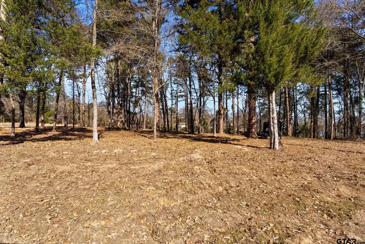 TBD Wilson Rd. (Lot 41), Tyler, TX 75707 - Image #1