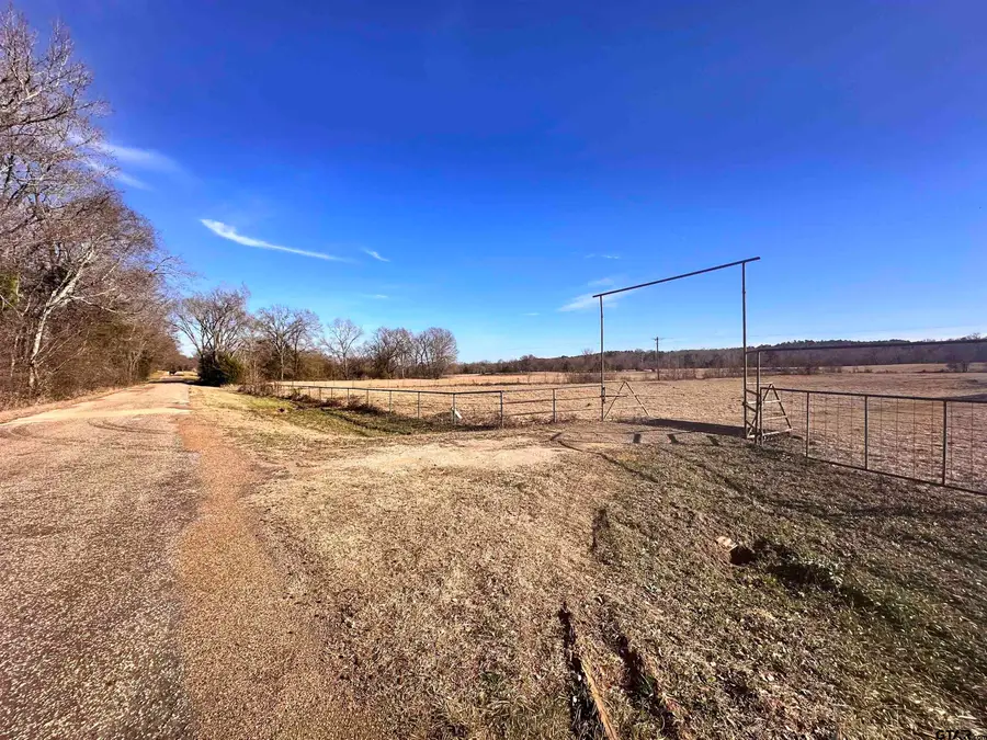 0 CR 4336, Larue, TX 75770 - #2