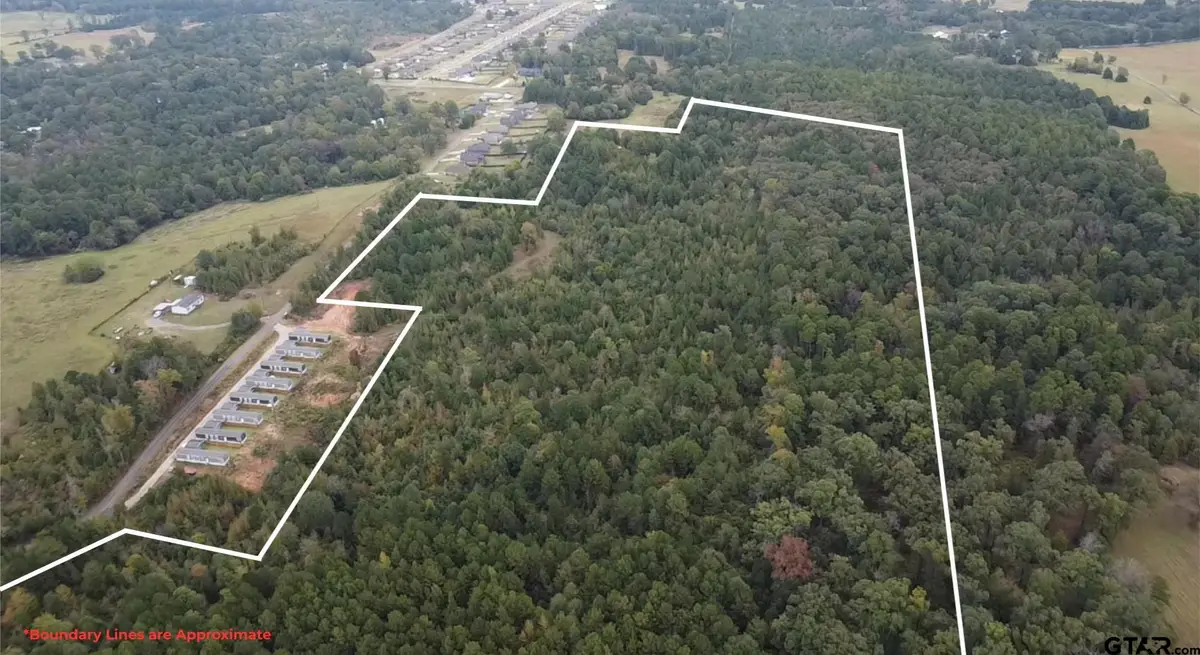 TBD Mt Pleasant Cutoff, Hallsville, TX 75650 - #1