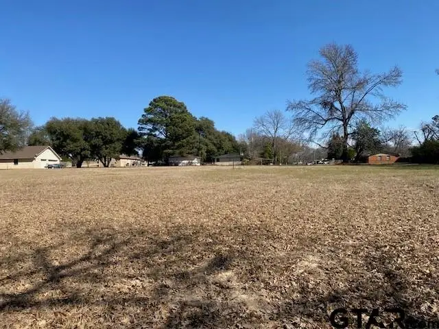 TBD Laurel Road, Athens, TX 75751 - #3