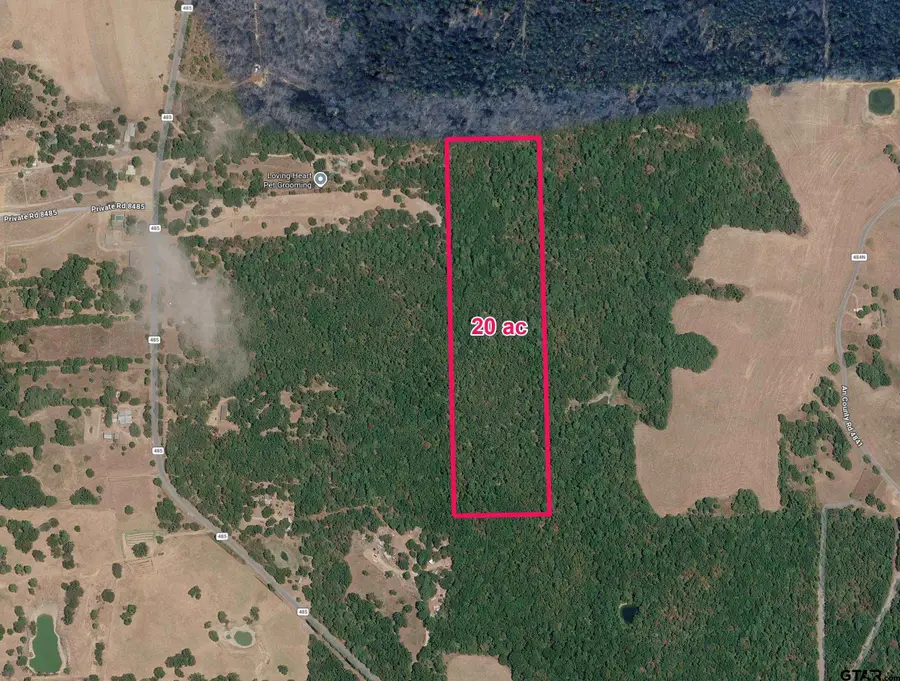 000 CR 485, Palestine, TX 75803 - #3