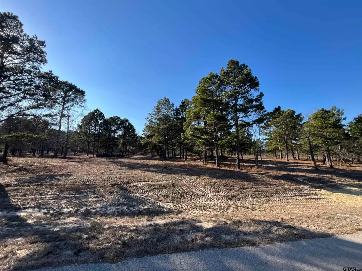 3135 Shadow Pine Drive, Larue, TX 75770 - #1