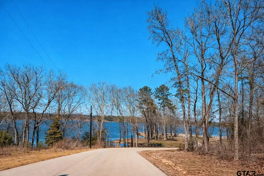 3200 Shadow Pine Dr, Larue, TX 75770 - #2