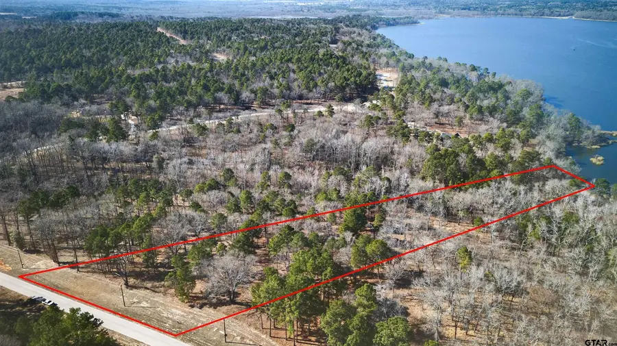 3200 Shadow Pine Dr, Larue, TX 75770 - #3