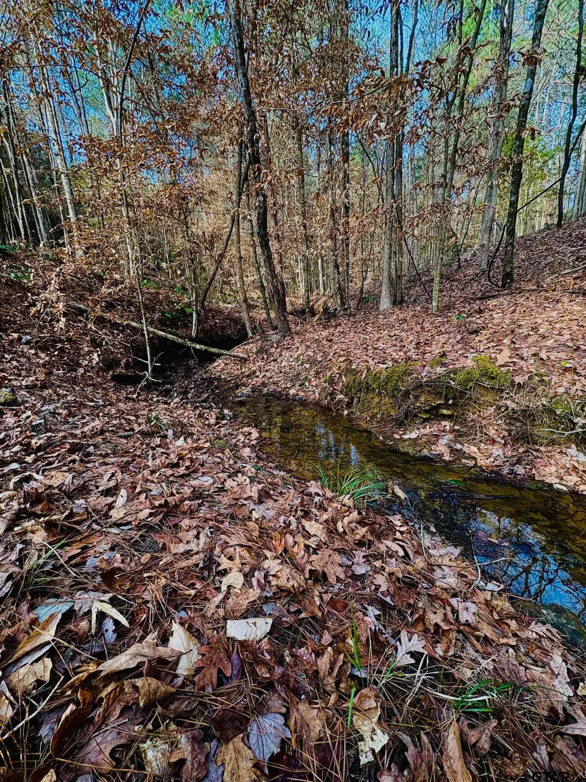 TBD (Lot 59) County Road 1060, Center, TX 75935 - #1