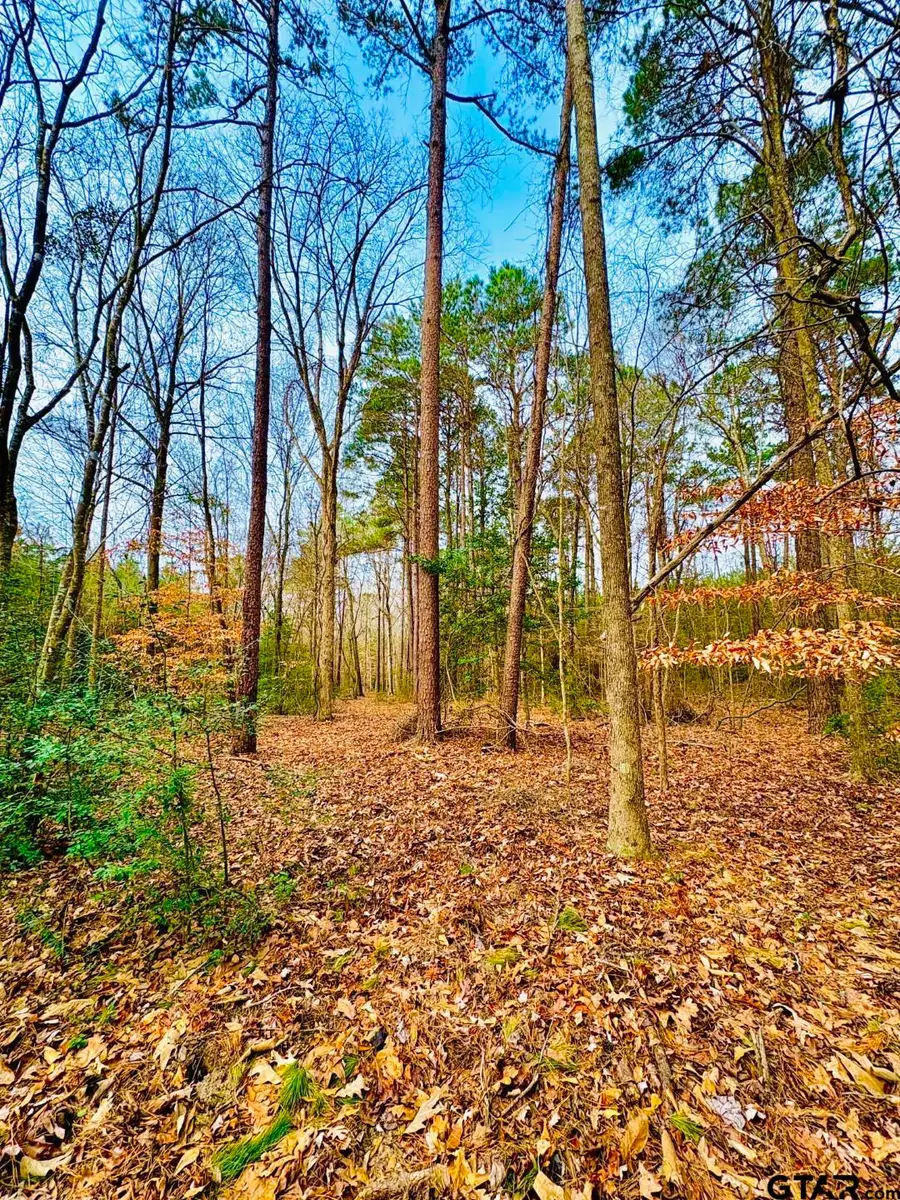 TBD (Lot 59) County Road 1060, Center, TX 75935 - #2