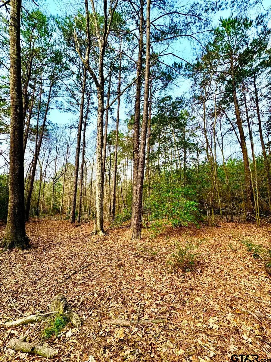 TBD (Lot 59) County Road 1060, Center, TX 75935 - #3