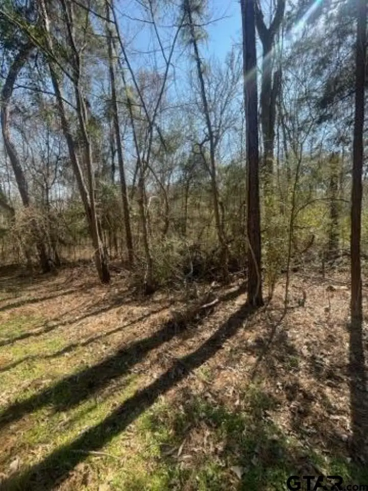 214 Forest, Bullard, TX 75757 - #1