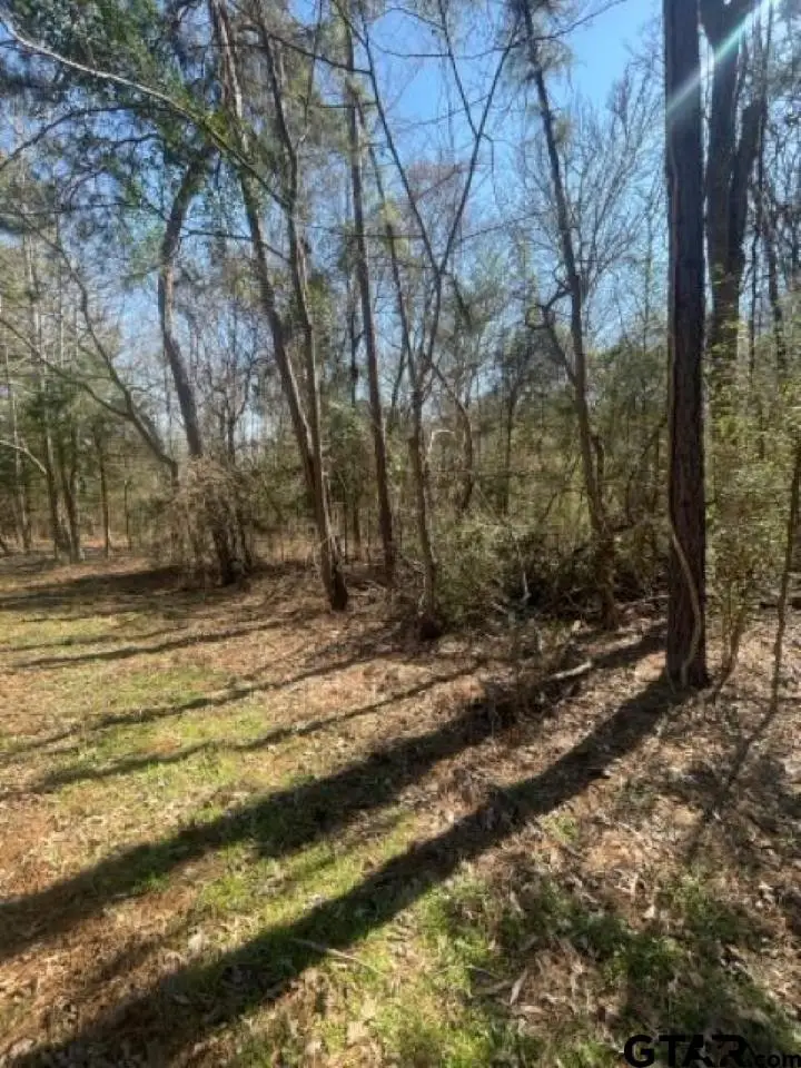 214 Forest, Bullard, TX 75757 - #2