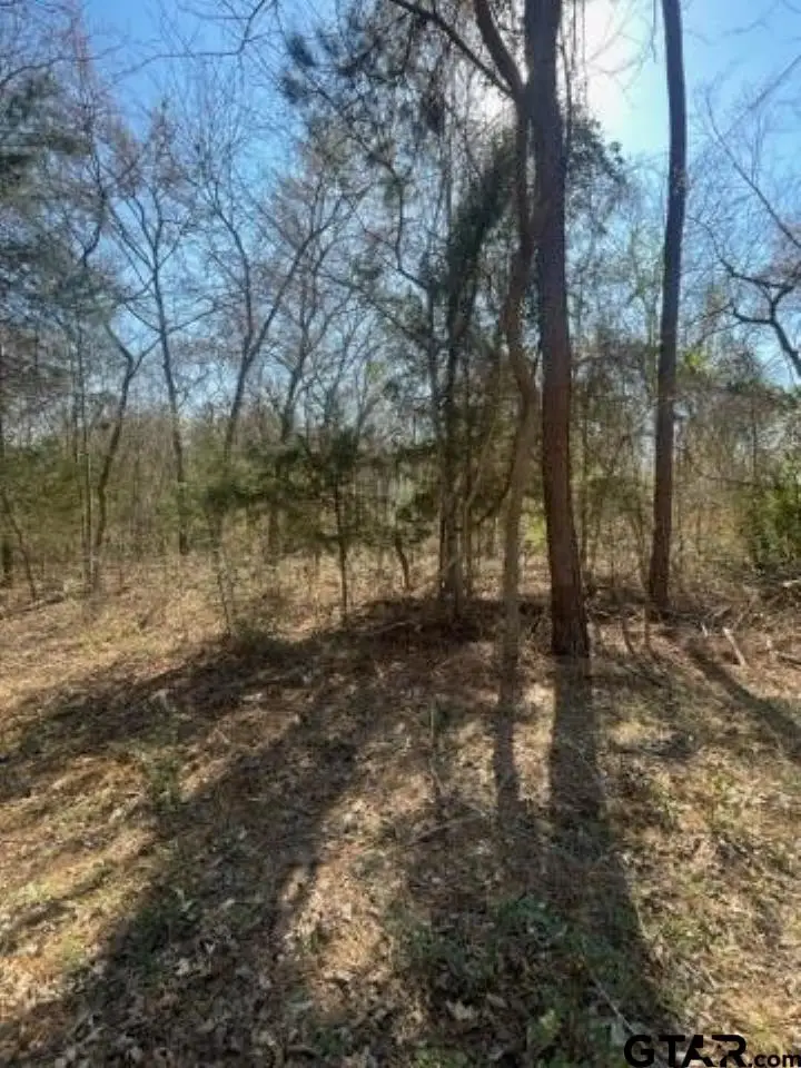 214 Forest, Bullard, TX 75757 - #3