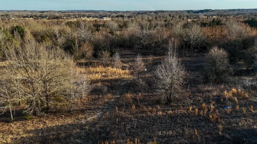 1352 VZ County Road 4512, Ben Wheeler, TX 75754 - #3