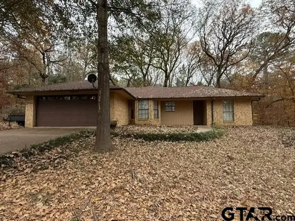 18489 Paradise ln, Flint, TX 75762