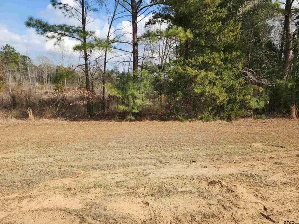 TBD CR 2312, Pittsburg, TX 75686