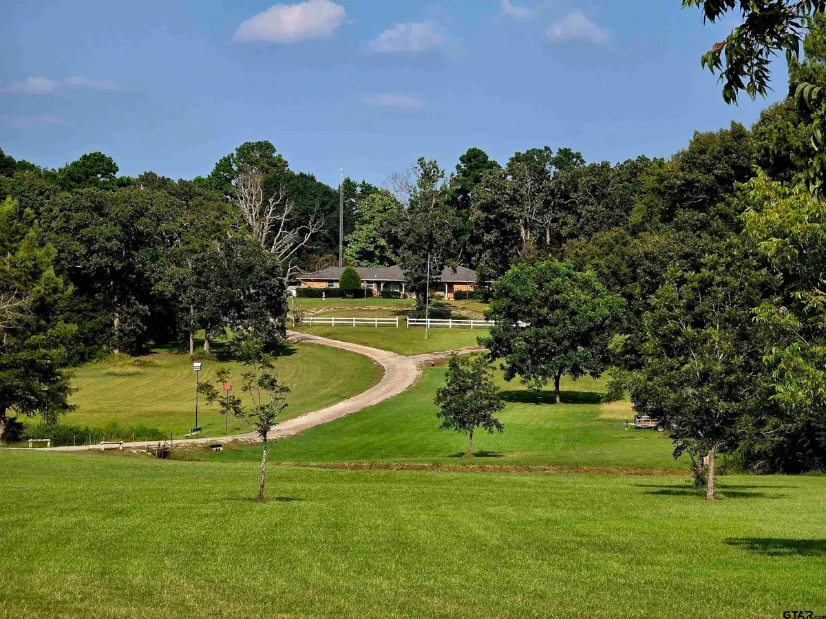 7991 FM 314, Ben Wheeler, TX 75754 - #1