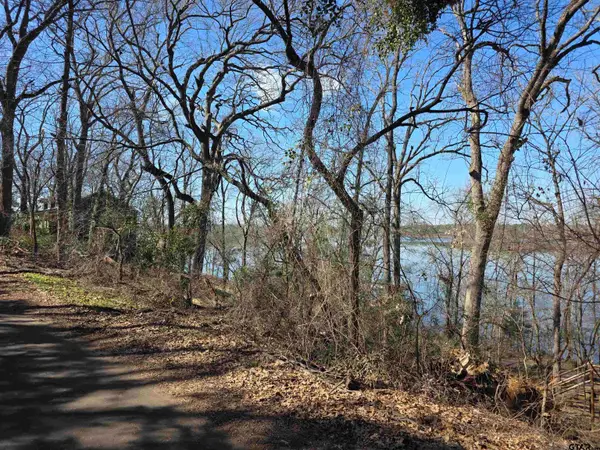 0000 County Road 1420, Quitman, TX 75783