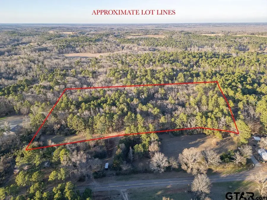 TBD 9.91 Acres PR 6662, Mineola, TX 75773 - #2