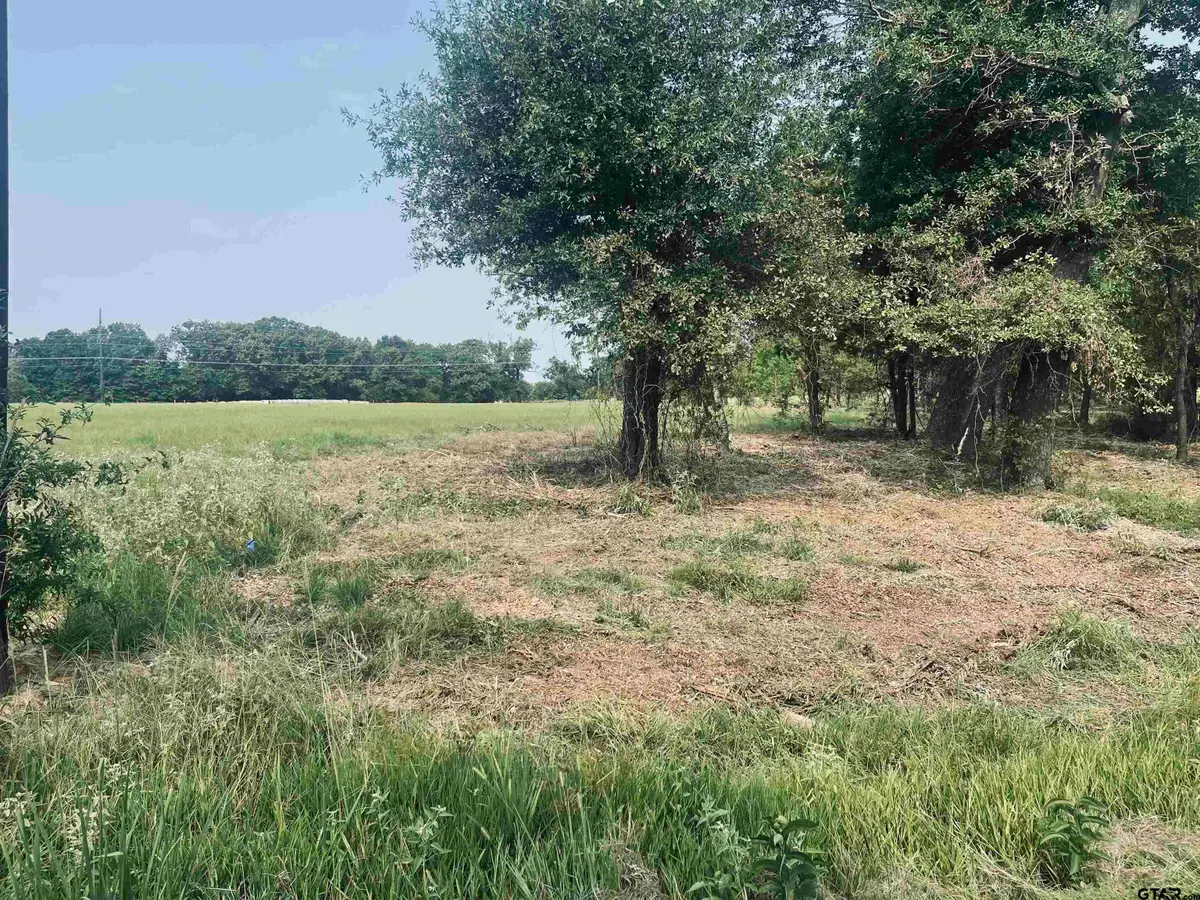 LOT 6 , Leach Woods East  CR 1560, Alba, TX 75410 - #1