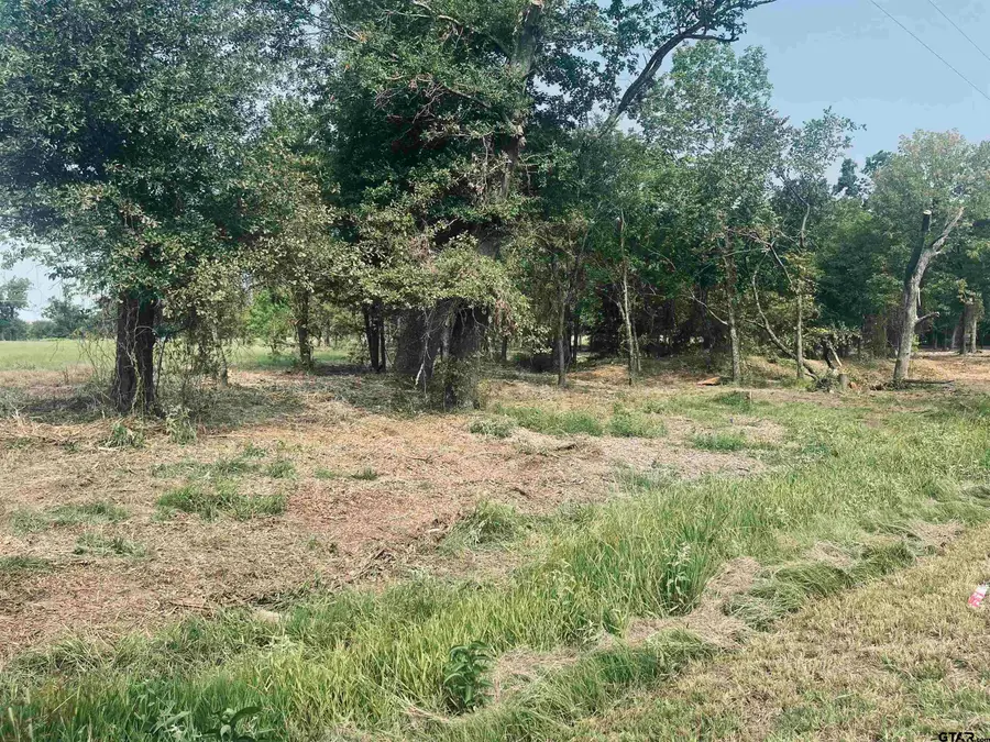 LOT 6 , Leach Woods East  CR 1560, Alba, TX 75410 - #2