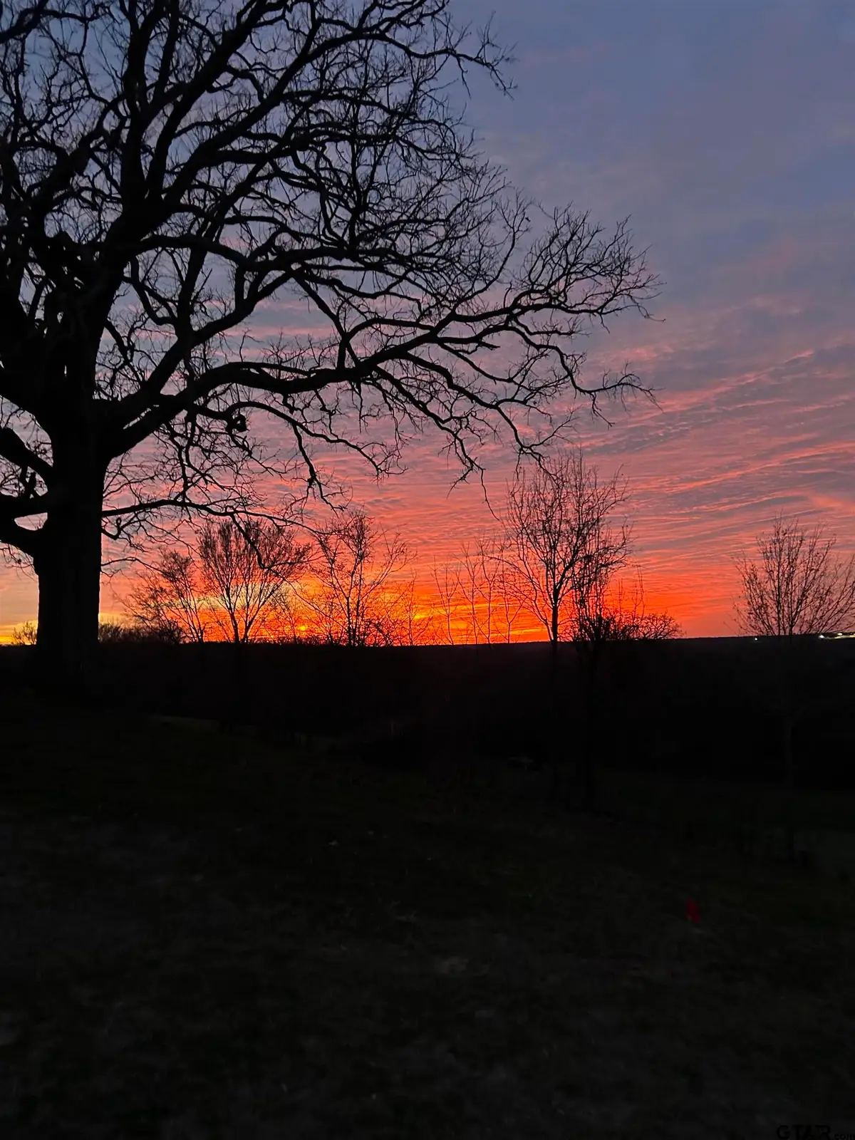 Address Withheld By Seller, Athens, TX 75752 - #1