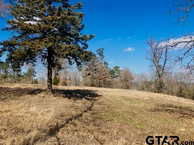 TBD Ridgeline Loop, Winona, TX 75792 - #1