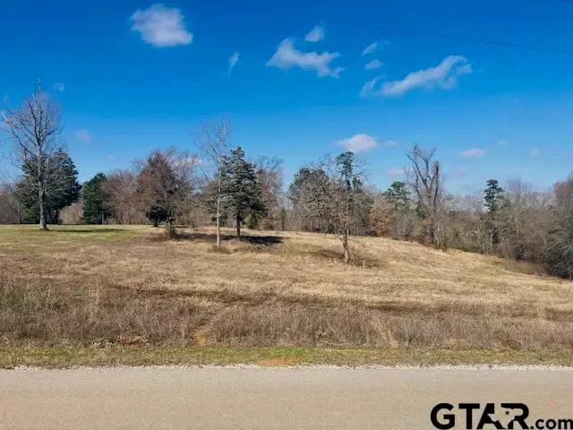 TBD Ridgeline Loop, Winona, TX 75792 - #3