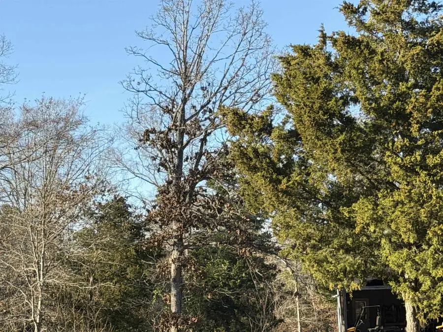 931 CR 1627, Rusk, TX 75785 - #2