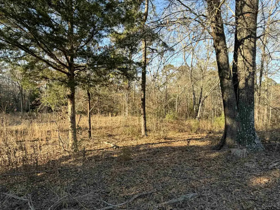 931 CR 1627, Rusk, TX 75785 - #3