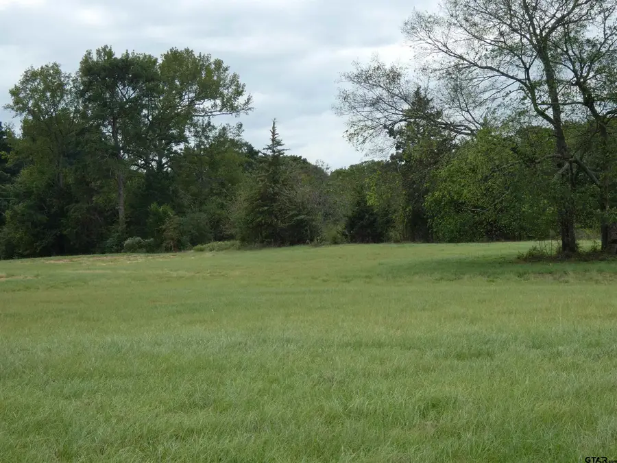 1143 Highway 11, Daingerfield, TX 75638 - #3