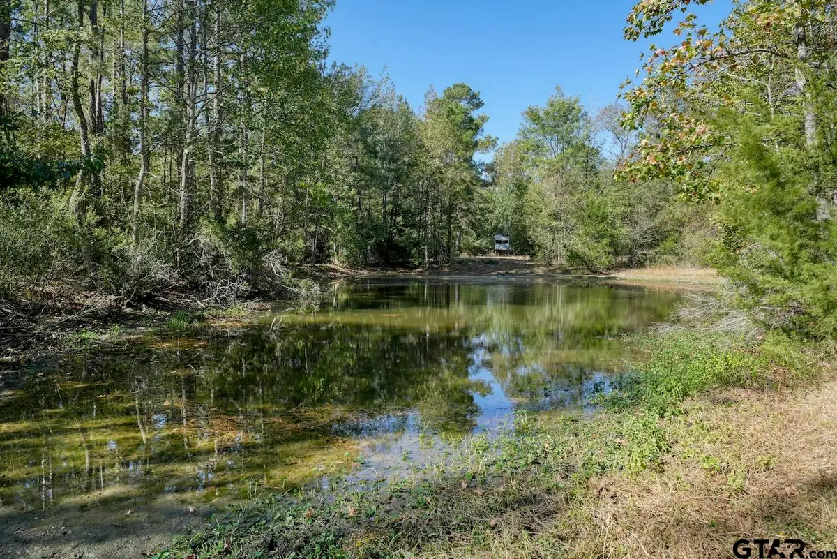 8477 FM 14, Hawkins, TX 75765 - #1