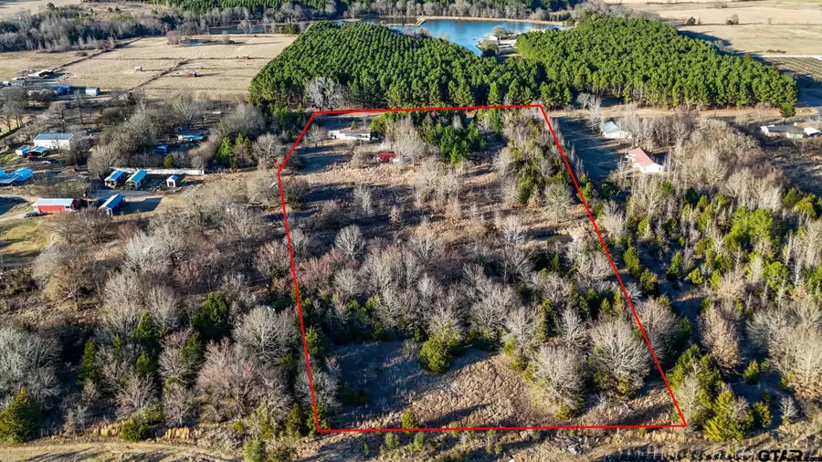 1352 Vz County Road 4512, Ben Wheeler, TX 75754 - #2