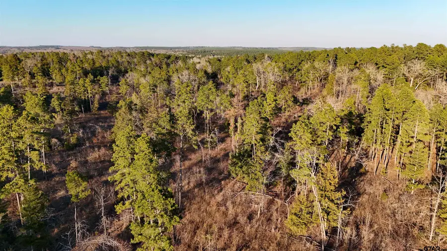 000 CR 3854, Hawkins, TX 75765 - #2