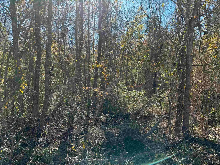 628 Balmorea Drive, Bullard, TX 75757 - #3