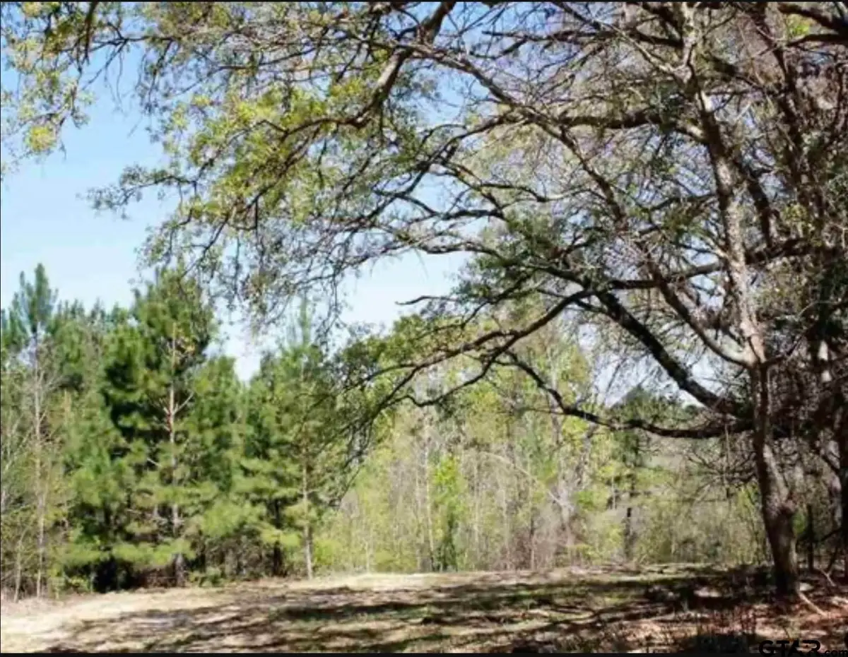 19201 Hwy 110, Whitehouse, TX 75791 - #1