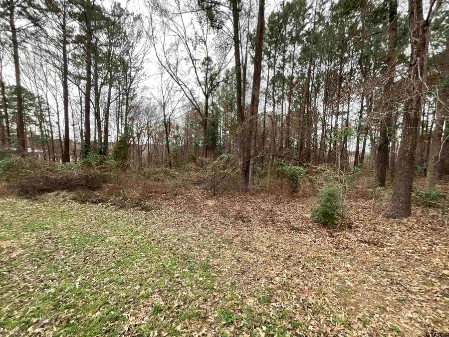 19201 Hwy 110, Whitehouse, TX 75791 - #3