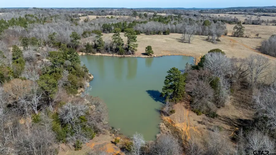 7240 E SH 294, Elkhart, TX 75839 - #2