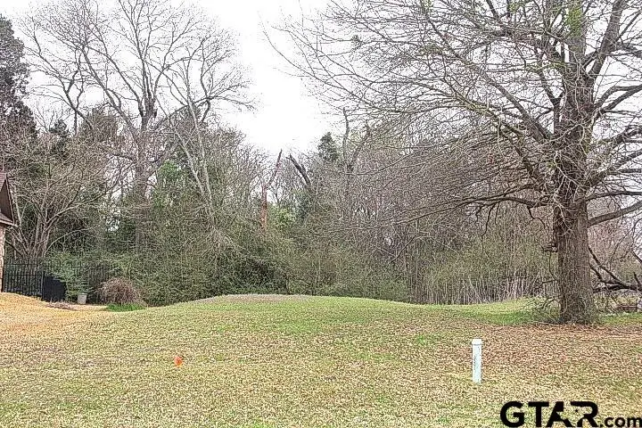 110 Palomita Cove, Athens, TX 75752 - #1