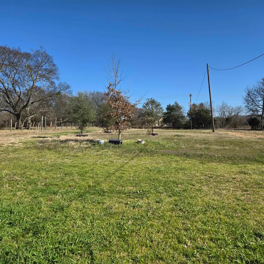 TBD CR 178, Flint, TX 75762 - #3